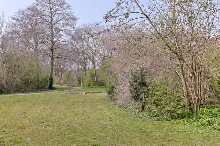 Foto 52 van Waterbieskreek 2