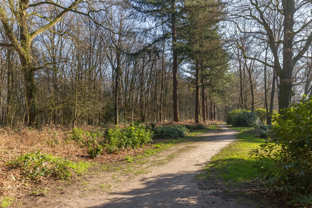 Photo 73 of Vliegersvelderlaan 34