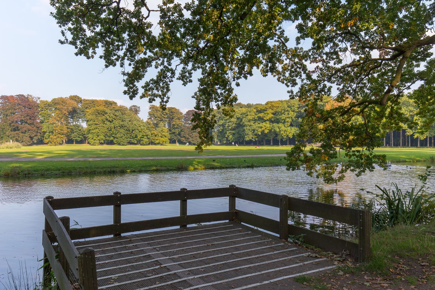 Photo 74 of Vliegersvelderlaan 34