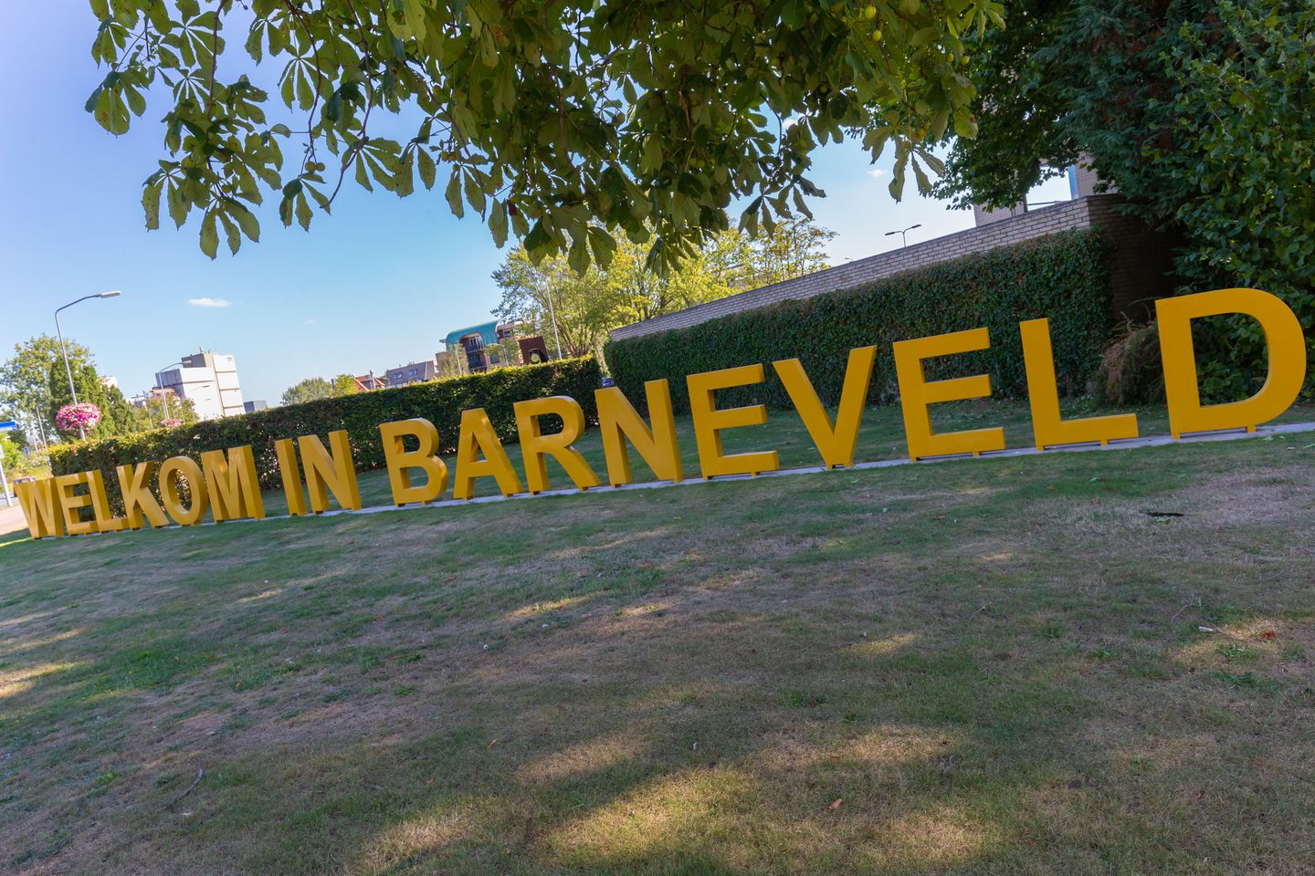 Photo 79 of Vliegersvelderlaan 34