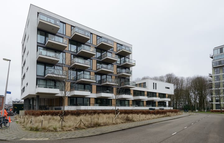 Schonberglaan main image
