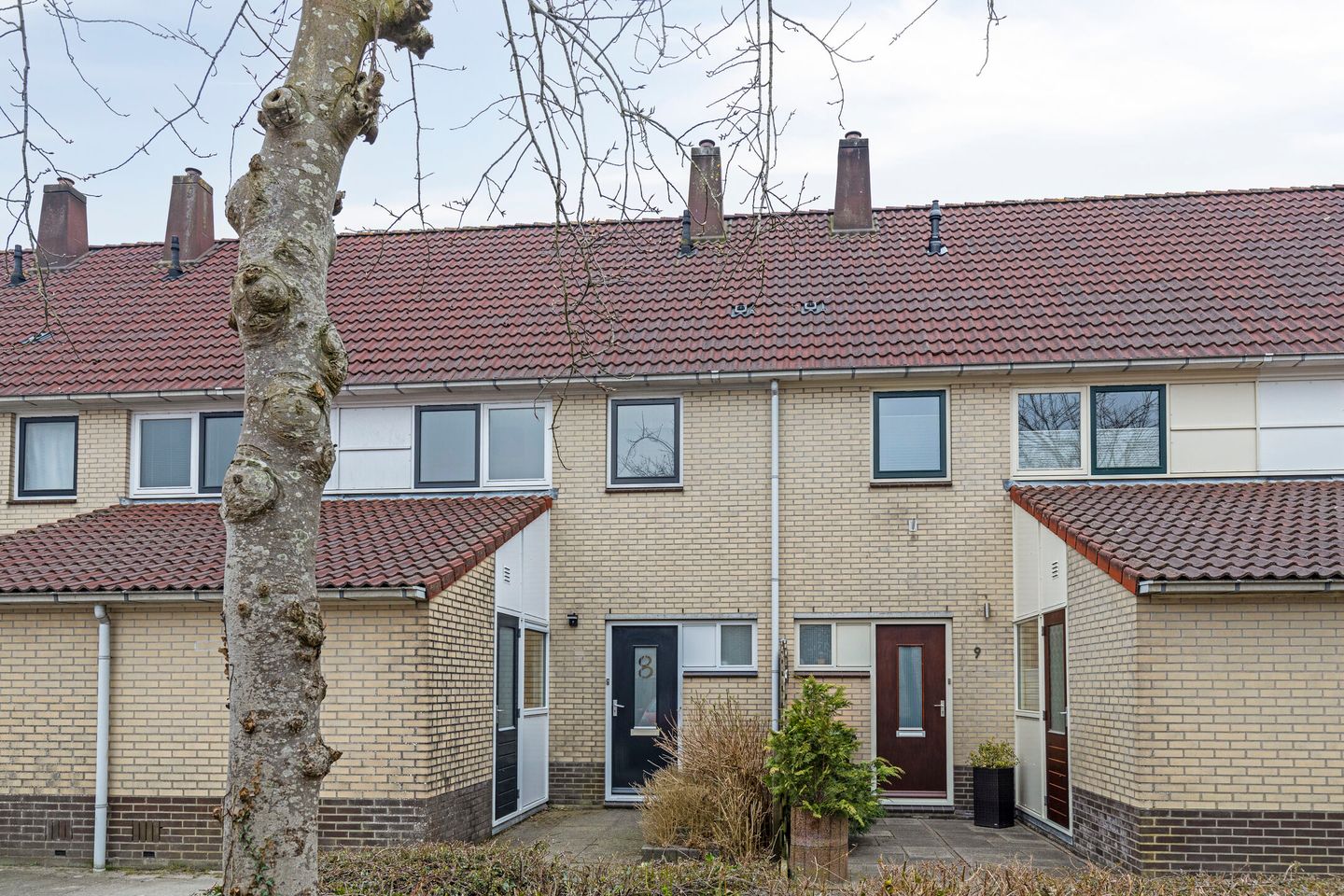 Foto 25 van Saffier 8