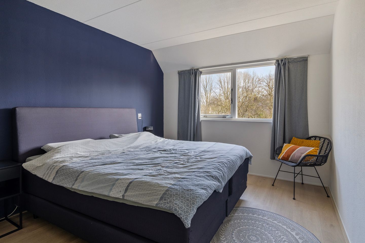 Foto 14 van Saffier 8