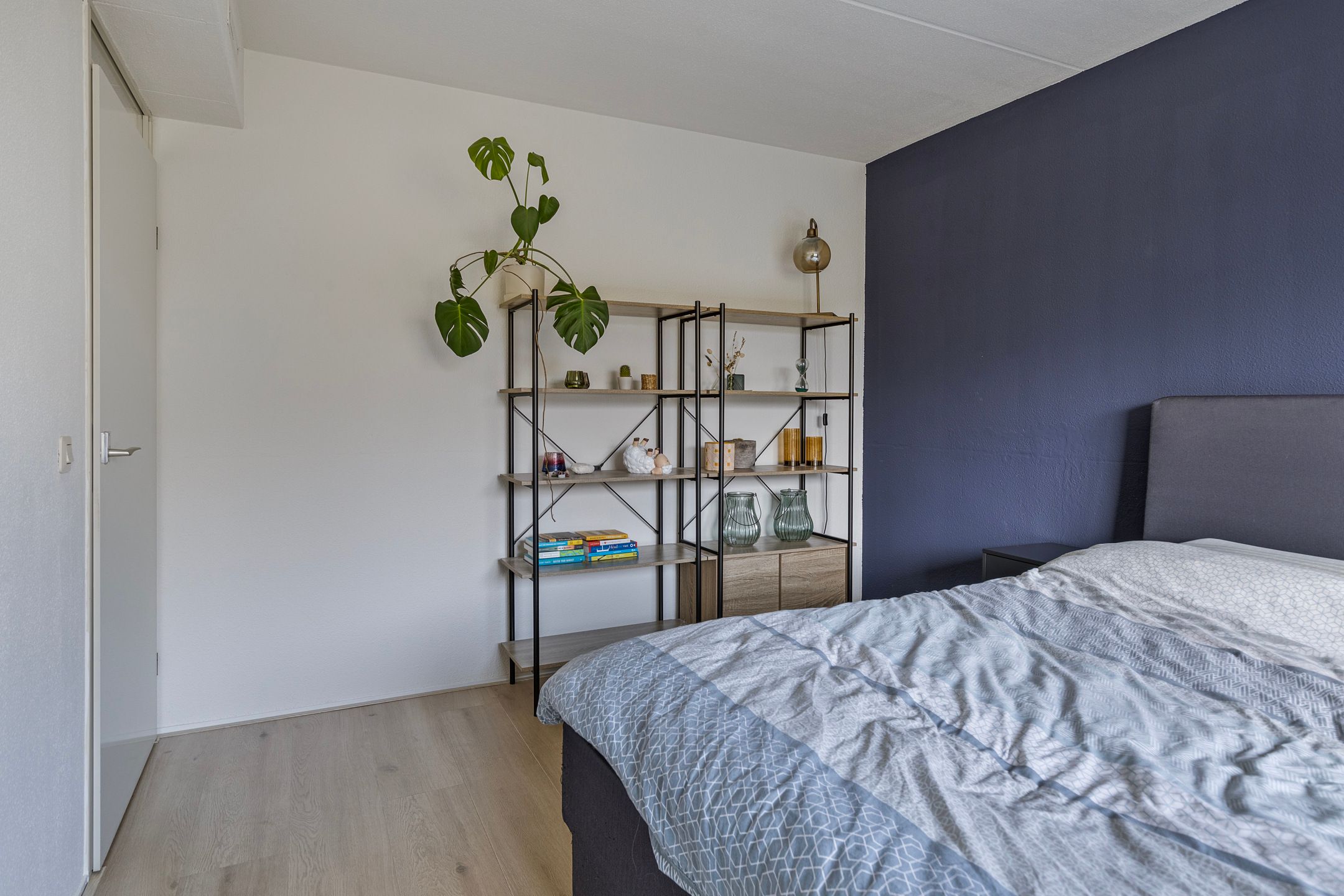 Foto 15 van Saffier 8