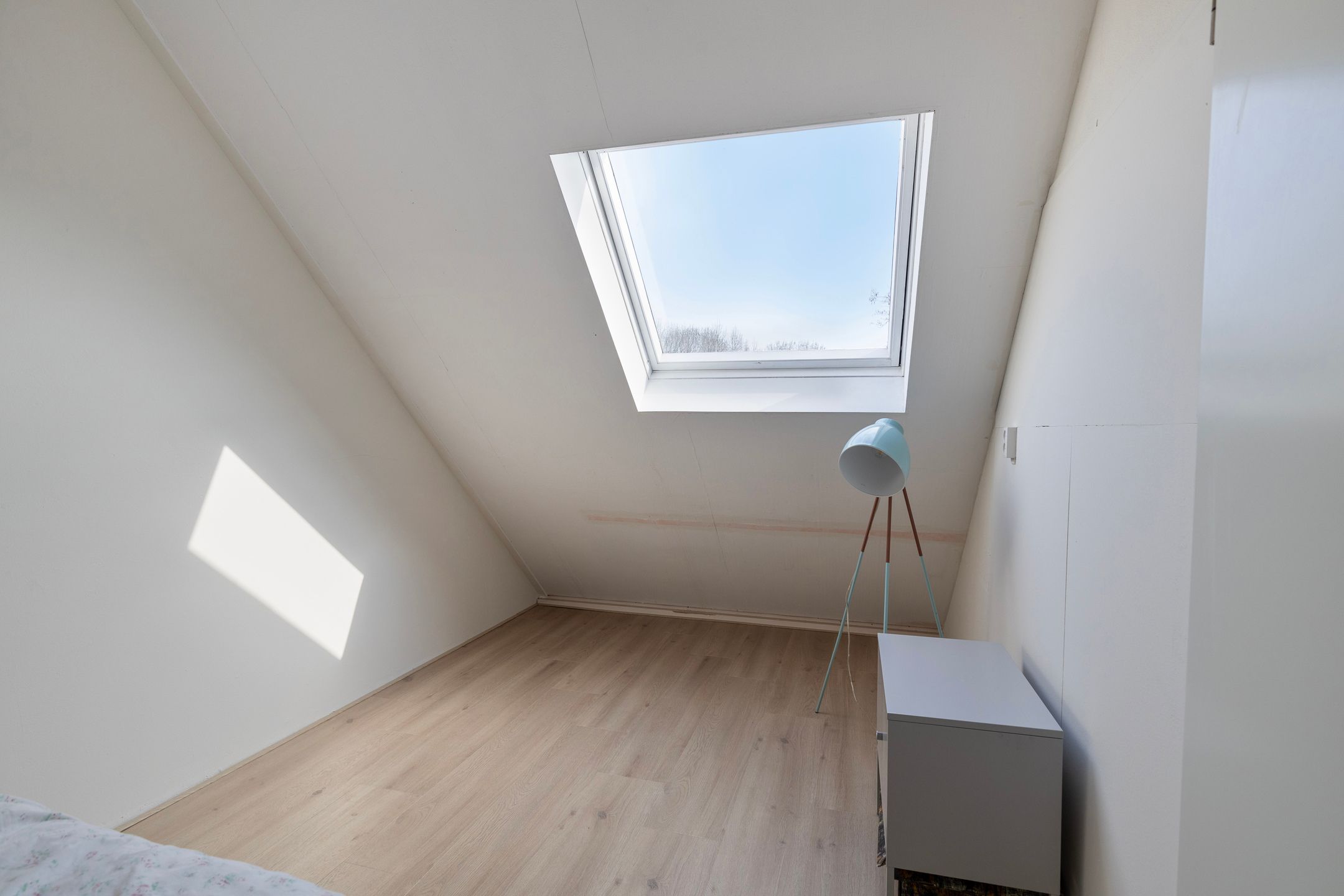 Foto 21 van Saffier 8