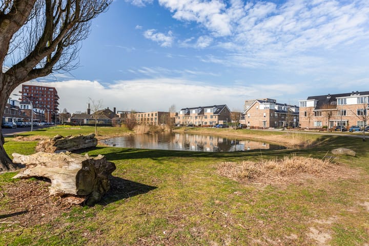 Photo 44 of Johan de Wittstraat 29