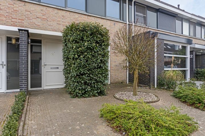 Photo 33 of Maurick 14