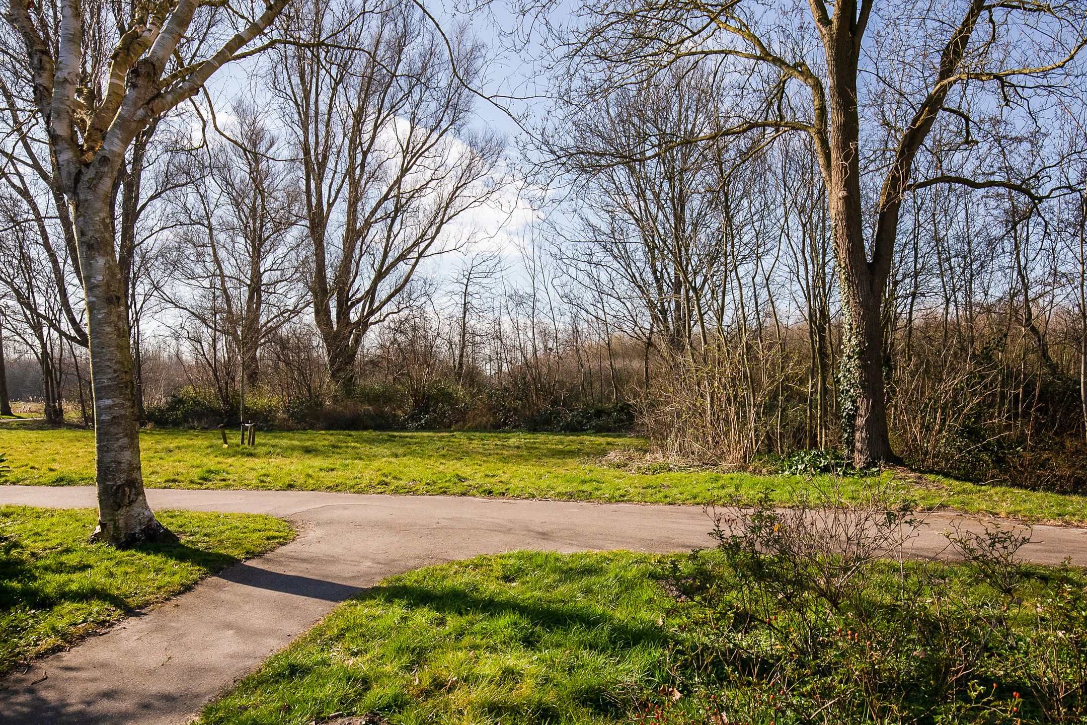 Foto 39 van Leden 16