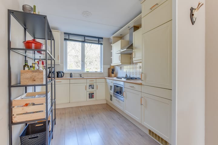 Foto 3 van Waterhoen 28