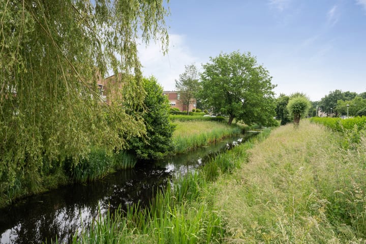 Photo 43 of Lieftinckdreef 8