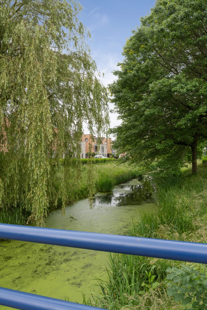 Photo 47 of Lieftinckdreef 8