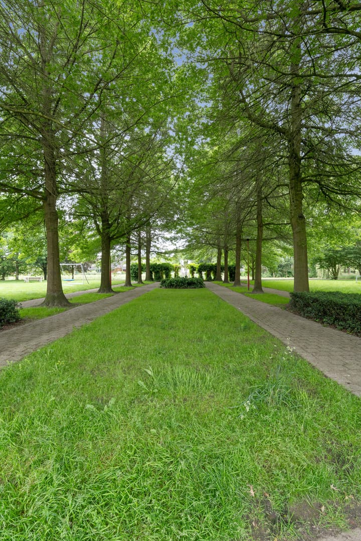 Photo 48 of Lieftinckdreef 8