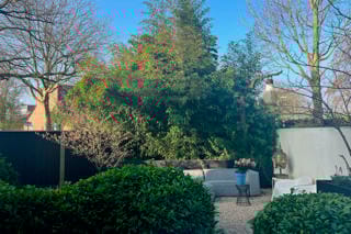 Foto 44 van van Dedemlaan 20