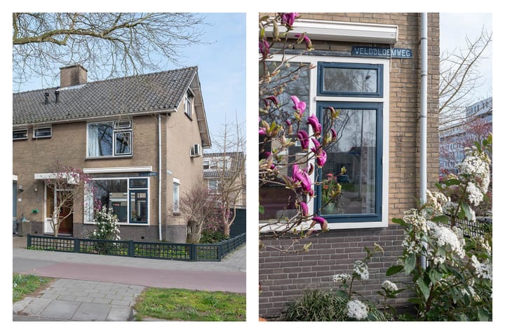 Foto 32 van Veldbloemweg 87
