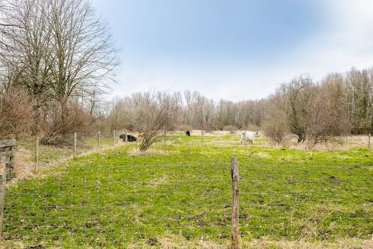 Foto 35 van Veldbloemweg 87