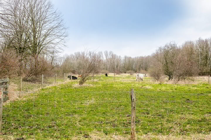 Foto 35 van Veldbloemweg 87