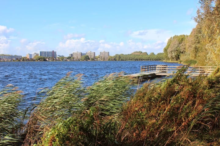 Foto 37 van Veldbloemweg 87