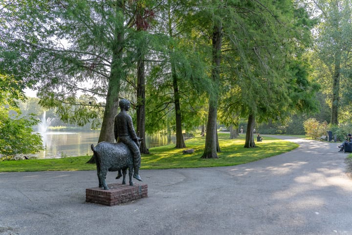 Foto 40 van Domselaerstraat 21-2