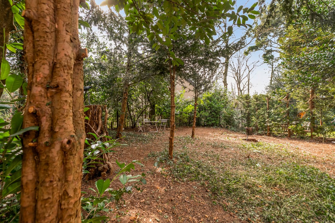 Foto 31 van Melvill van Carnbeelaan 48