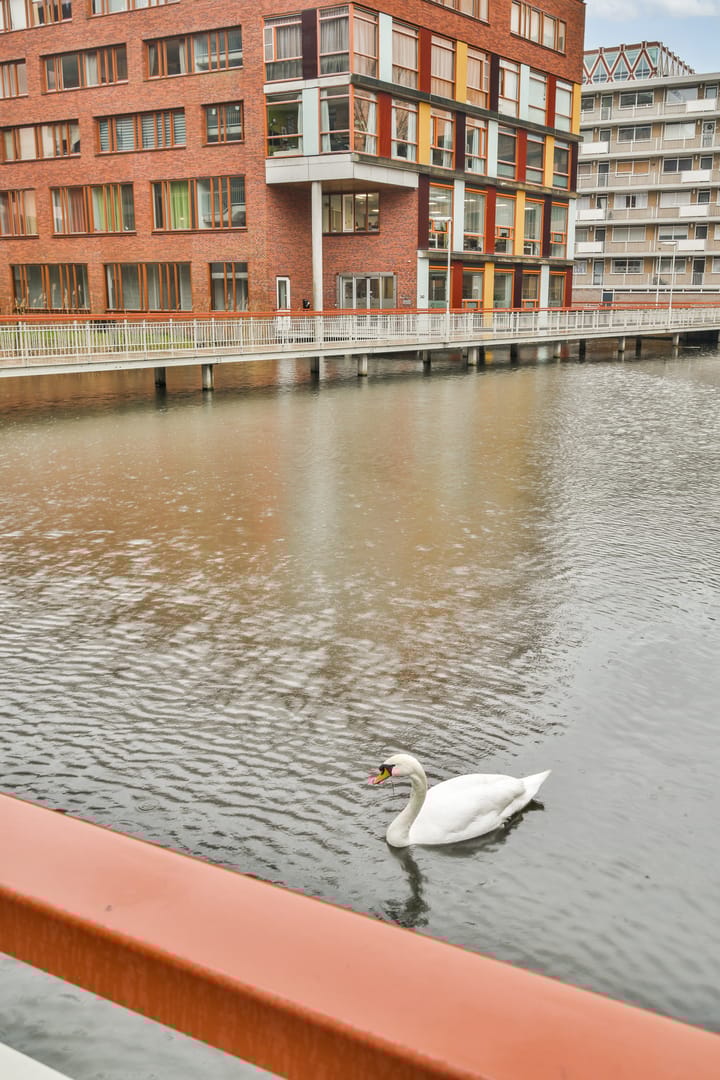 Foto 31 van Ronsseweg 150