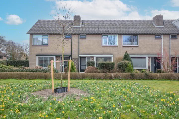 Foto 5 van Klein Amsterdam 100