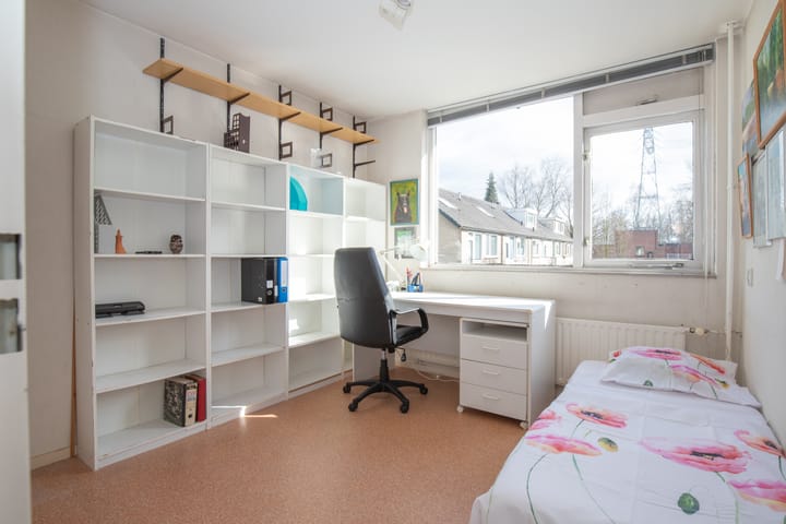 Foto 15 van Klein Amsterdam 100