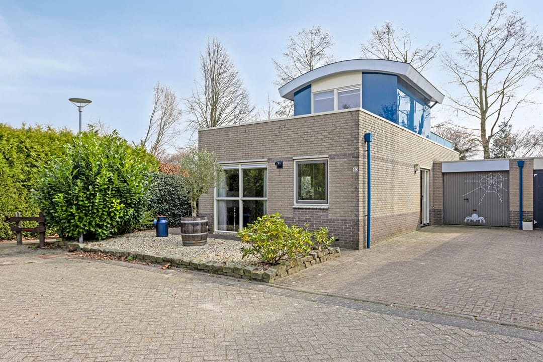 Foto 1 van Roerdomp 40