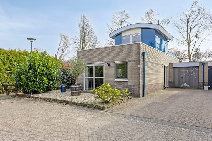 Foto 1 van Roerdomp 40