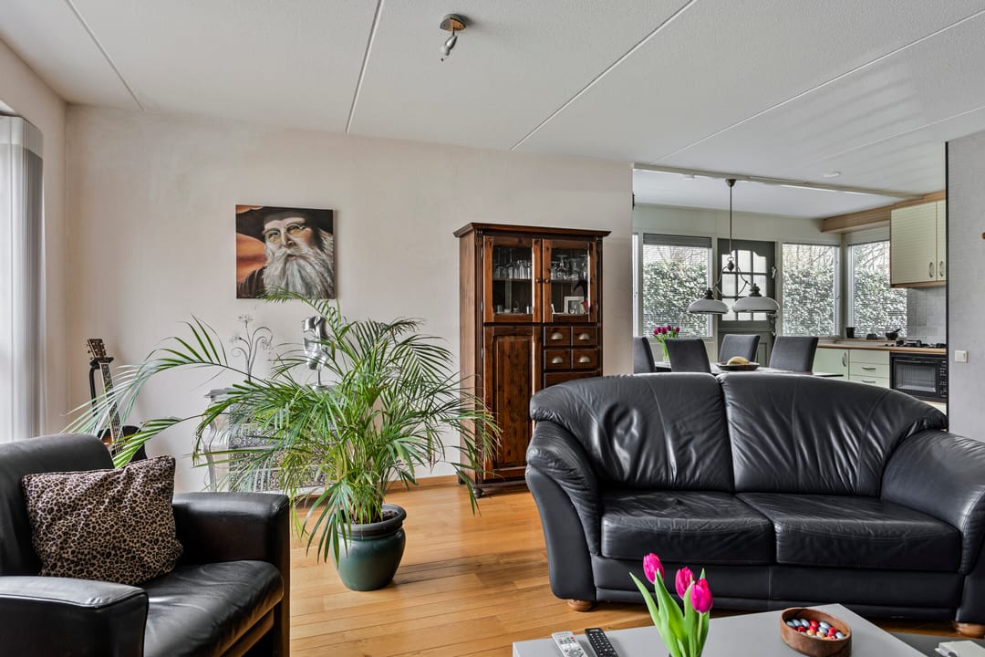 Foto 7 van Roerdomp 40