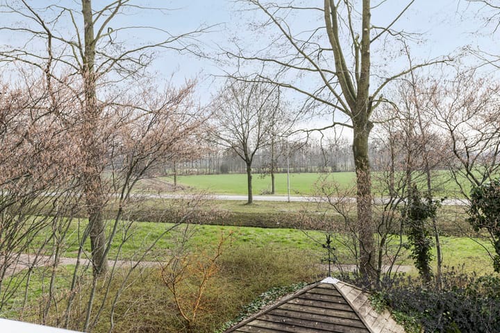 Foto 27 van Roerdomp 40