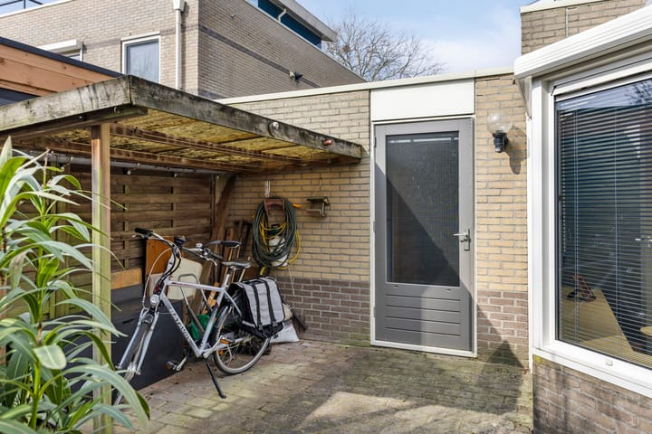 Foto 31 van Roerdomp 40