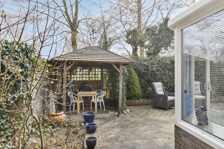 Foto 32 van Roerdomp 40