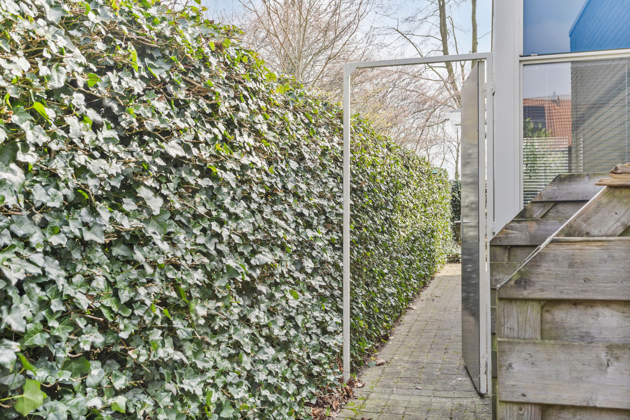 Foto 33 van Roerdomp 40