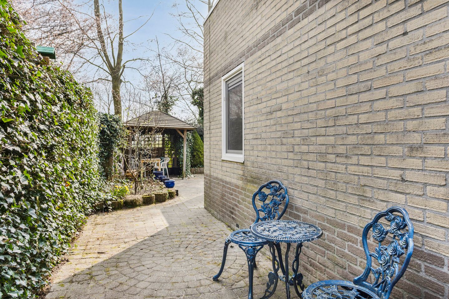 Foto 34 van Roerdomp 40