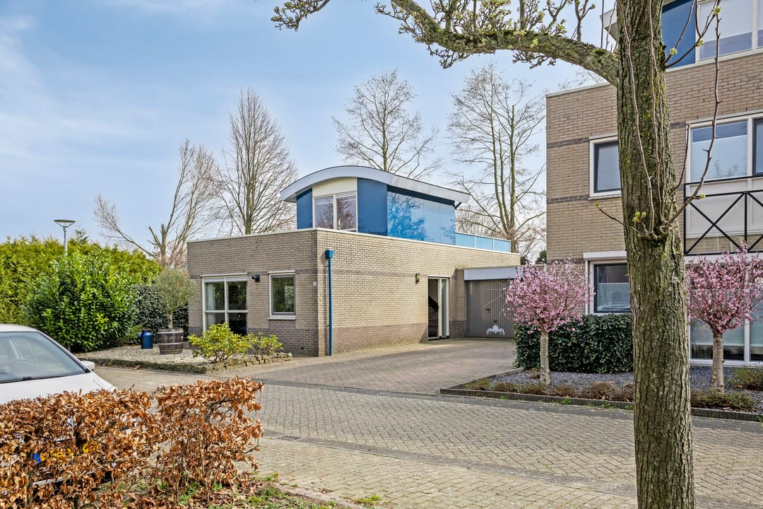 Foto 37 van Roerdomp 40