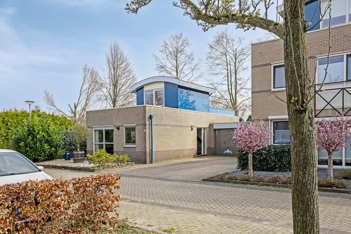 Foto 37 van Roerdomp 40