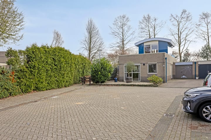 Foto 38 van Roerdomp 40