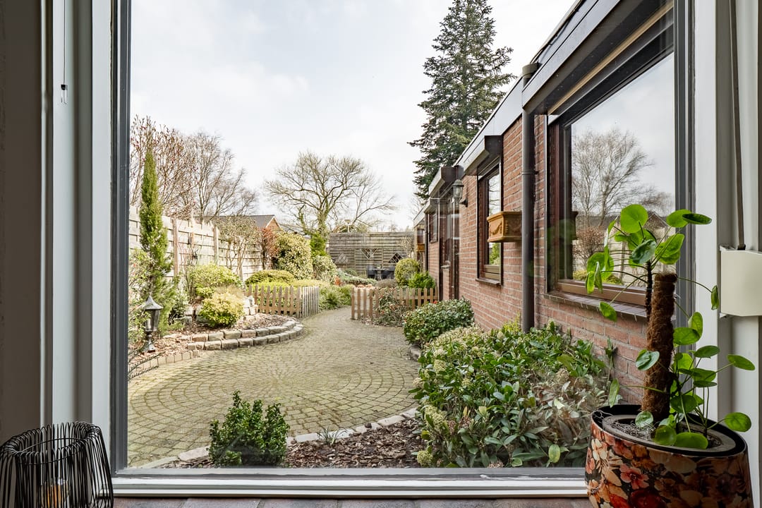 Foto 8 van Berfloweg 201