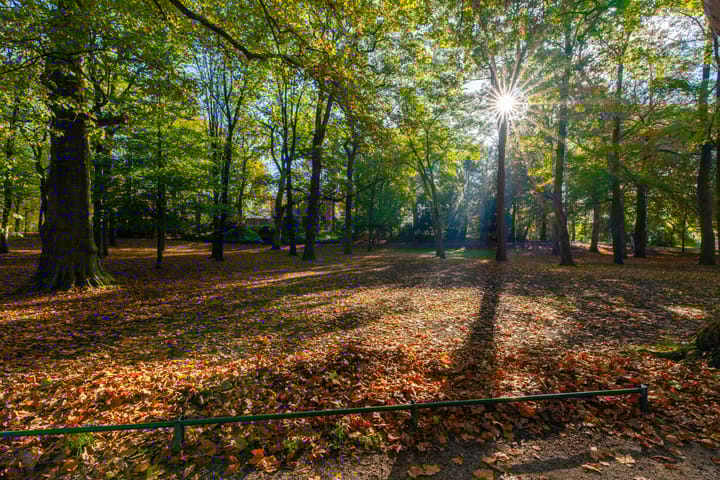 Foto 46 van Groenestraat 7