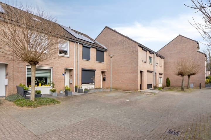 Photo 29 of Glasblazererf 5