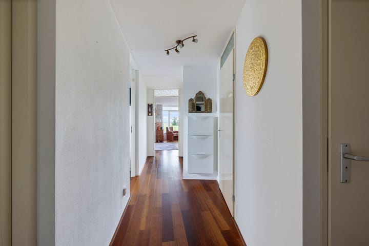 Foto 4 van Apollovlinder 60