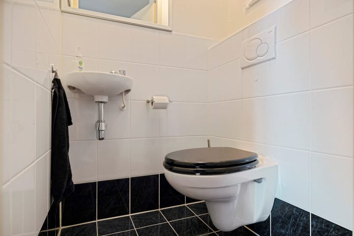 Foto 5 van Apollovlinder 60