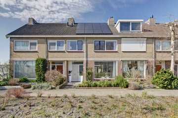 Buizerdstraat thumbnail