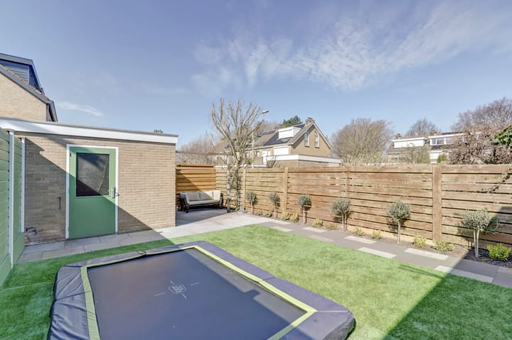 Foto 37 van Buizerdstraat 16