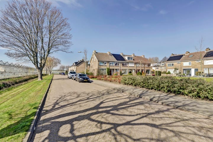 Foto 43 van Buizerdstraat 16