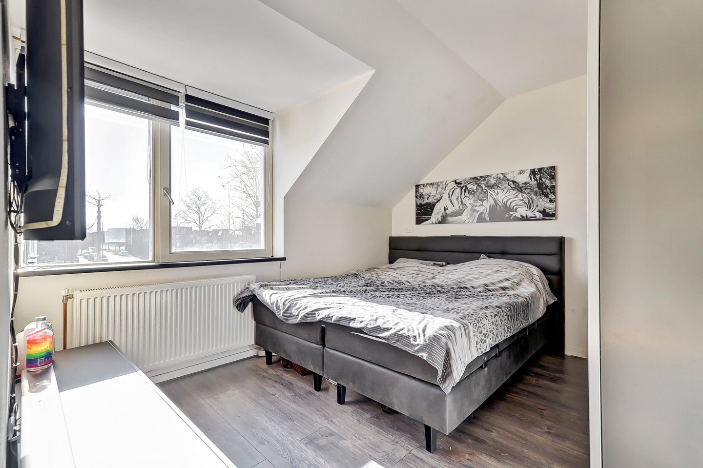 Foto 20 van de Snoekbaars 51