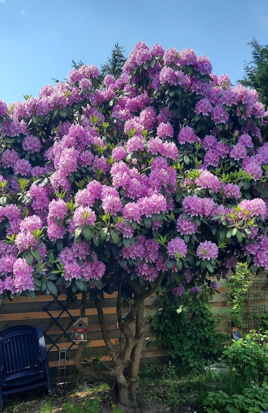 Foto 21 van Karlingakkers 7