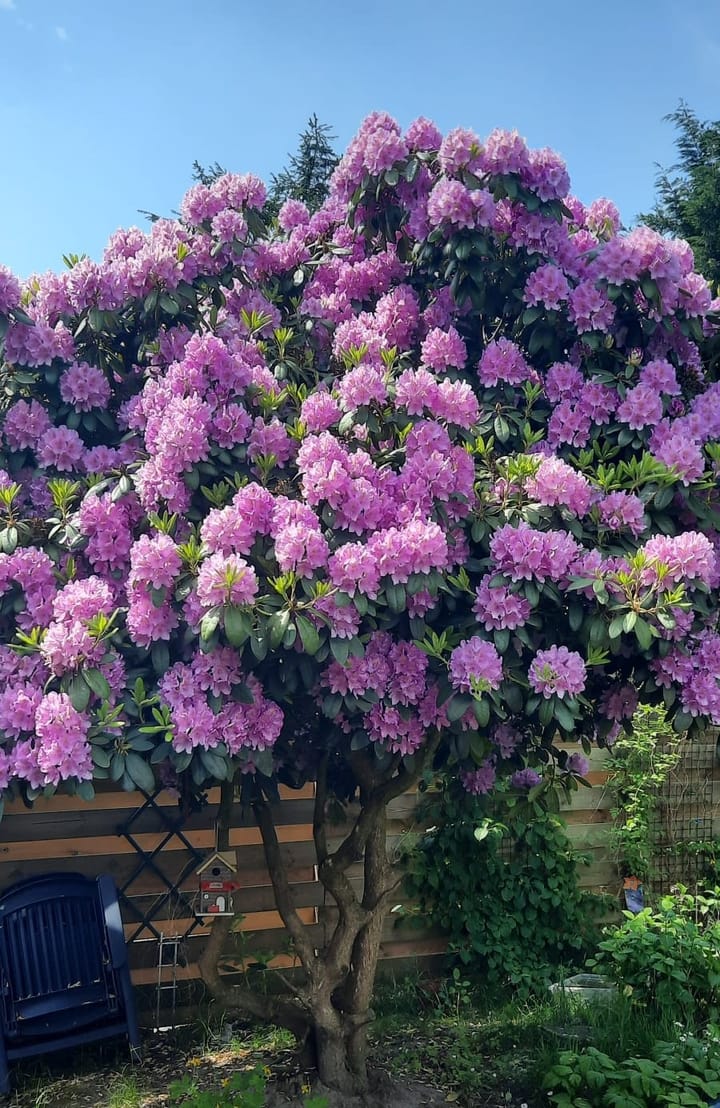 Foto 21 van Karlingakkers 7