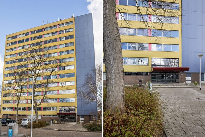 Foto 2 van Boeierstraat 297