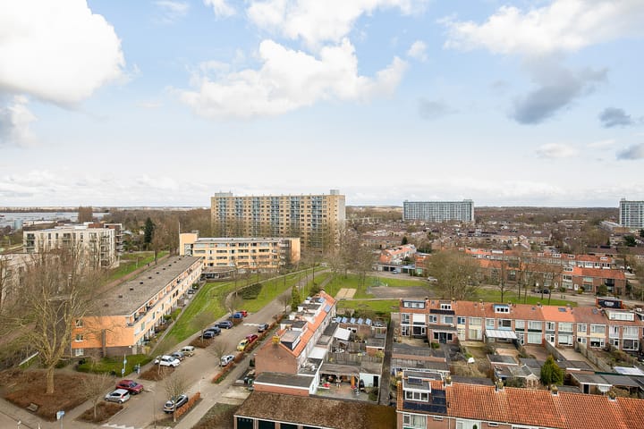 Foto 17 van Boeierstraat 297